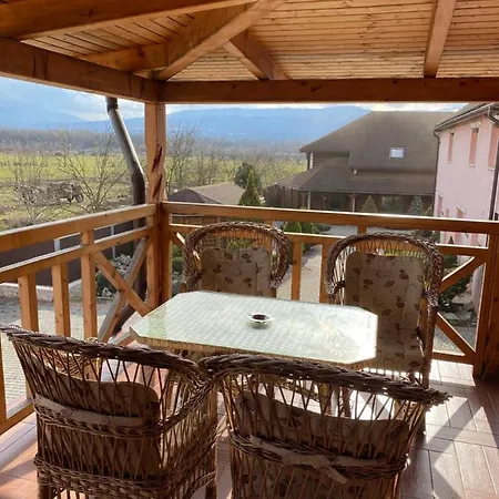 візит * Bushtyno